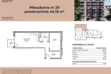 Rzut - Mieszkanie na sprzedaż 2 pokoje o powierzchni 44,18 m² - numer M29 w Plac Słowiański 9
