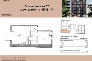 Rzut - Mieszkanie na sprzedaż 2 pokoje o powierzchni 45,16 m² - numer M17 w Plac Słowiański 9