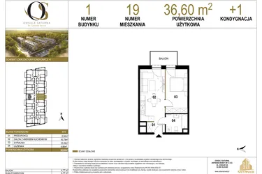 Rzut - Mieszkanie na sprzedaż 2 pokoje o powierzchni 36,6 m² - numer 1.M19 w Osiedle Saturna