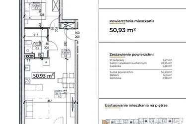 Rzut - Mieszkanie na sprzedaż 2 pokoje o powierzchni 50,93 m² - numer D6 w Słowackiego 44