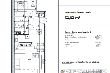 Rzut - Mieszkanie na sprzedaż 2 pokoje o powierzchni 50,93 m² - numer D9 w Słowackiego 44
