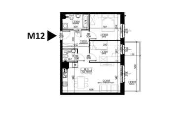 Rzut - Mieszkanie na sprzedaż 3 pokoje o powierzchni 55,78 m² - numer 12 w Mahonia D
