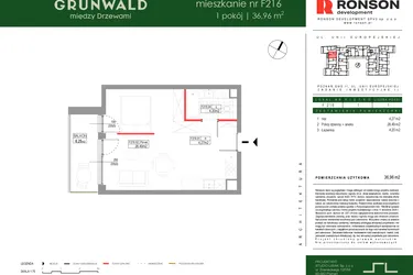 Rzut - Mieszkanie na sprzedaż 1 pokój o powierzchni 36,96 m² - numer F216 w Grunwald Między Drzewami etap III