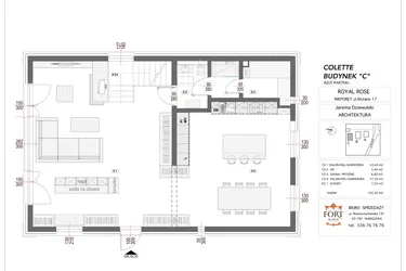 Rzut - Dom na sprzedaż 9 pokoi o powierzchni 295 m² - numer COLETTE w Royal Rose