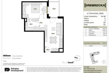 Rzut - Mieszkanie na sprzedaż 2 pokoje o powierzchni 43,39 m² - numer E1.59 w Drewnicka