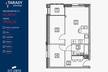 Rzut - Mieszkanie na sprzedaż 3 pokoje o powierzchni 45,5 m² - numer B2.M.3.9 w Tarasy Sobieskiego