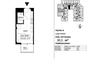 Rzut - Mieszkanie na sprzedaż 1 pokój o powierzchni 30,3 m² - numer 339 w Apollo Resort
