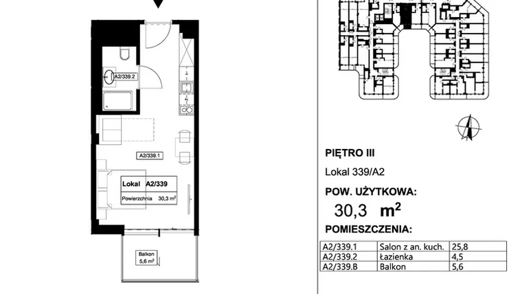 Rzut - Mieszkanie na sprzedaż 1 pokój o powierzchni 30,3 m² - numer 339 w Apollo Resort