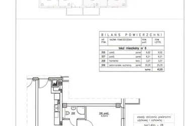 Rzut - Mieszkanie na sprzedaż 3 pokoje o powierzchni 45,65 m² - numer 6 w Nowy Horyzont