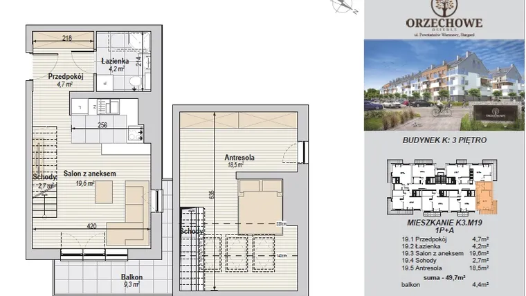 Rzut - Mieszkanie na sprzedaż 2 pokoje o powierzchni 49,7 m² - numer K3.M19 w Osiedle Orzechowe