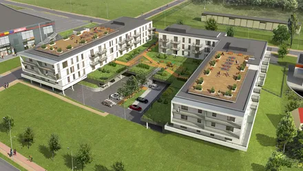 Stella