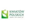 Calidad - usługi budowlane logo