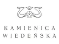 DS New Venture logo