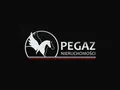 Pegaz Nieruchomości logo
