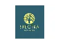 Spectra Development logo