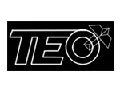 TEO logo